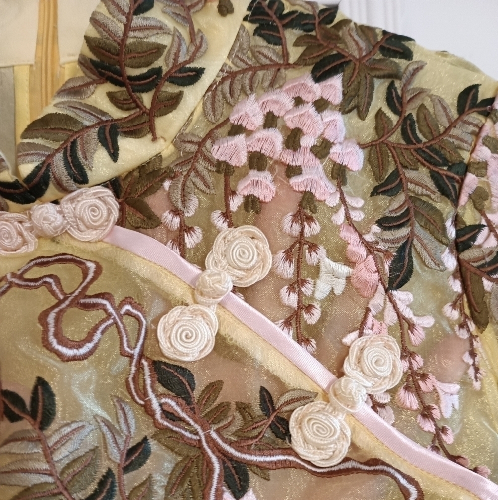 Gorgeous Defenon Embroidered Cheongsam Styled  Dress - Picture 14 of 16